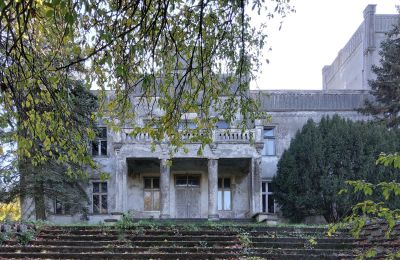 Kasteel te koop Górki Dąbskie, Pałac w Górkach Dąbskich, Koejavië-Pommeren, Foto 17/22