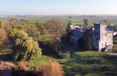 Kasteel te koop Górki Dąbskie, Pałac w Górkach Dąbskich, Koejavië-Pommeren, Omgeving van het pand