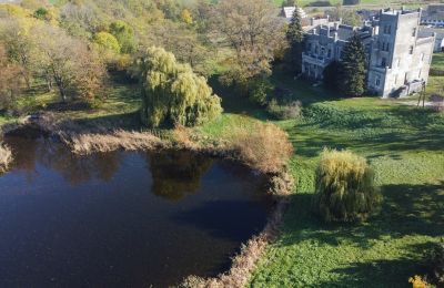 Kasteel te koop Górki Dąbskie, Pałac w Górkach Dąbskich, Koejavië-Pommeren, Eigendom