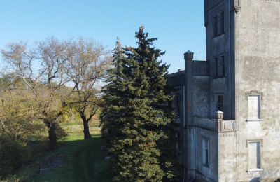 Kasteel te koop Górki Dąbskie, Pałac w Górkach Dąbskich, Koejavië-Pommeren, Toren