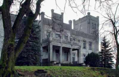 Kasteel te koop Górki Dąbskie, Pałac w Górkach Dąbskich, Koejavië-Pommeren, Foto 21/22