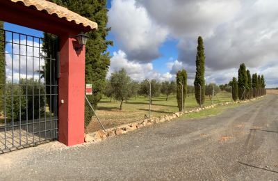 Maison de campagne à vendre Almagro, Almagro, Castille-La Manche, Accès