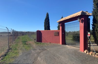 Maison de campagne à vendre Almagro, Almagro, Castille-La Manche, Entrada