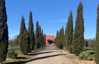 Maison de campagne à vendre Almagro, Almagro, Castille-La Manche, Entrada arbolada con cipreses