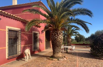 Maison de campagne à vendre Almagro, Almagro, Castille-La Manche, Fachada
