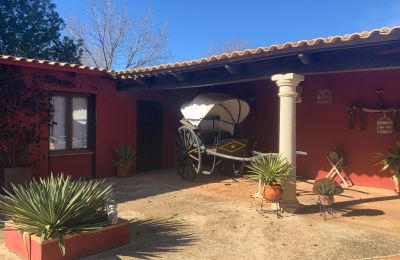 Maison de campagne à vendre Almagro, Almagro, Castille-La Manche, Patio y carruaje