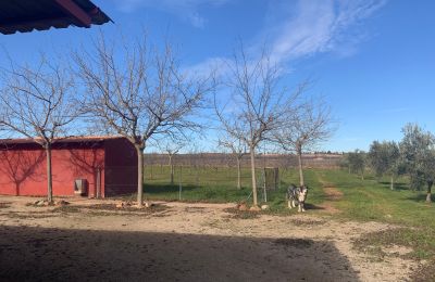 Maison de campagne à vendre Almagro, Almagro, Castille-La Manche, Propiedad con almendros