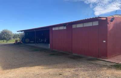 Maison de campagne à vendre Almagro, Almagro, Castille-La Manche, Garaje