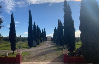 Maison de campagne à vendre Almagro, Almagro, Castille-La Manche, Accès