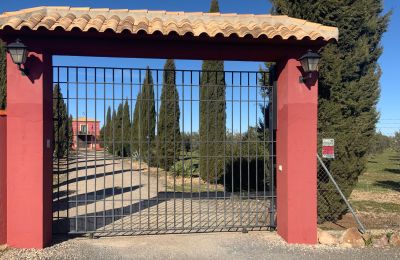 Maison de campagne à vendre Almagro, Almagro, Castille-La Manche, Entrée