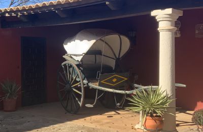 Maison de campagne à vendre Almagro, Almagro, Castille-La Manche, Carruaje