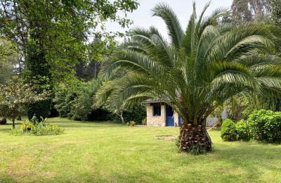 Landelijk huis te koop Xove, Acevedo, Galicië, Jardín