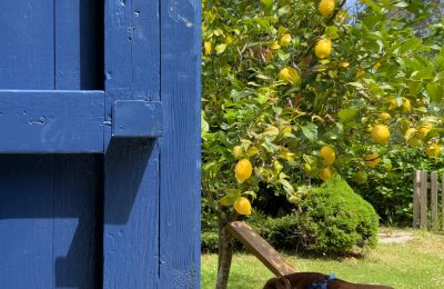 Landelijk huis te koop Xove, Acevedo, Galicië, Jardín
