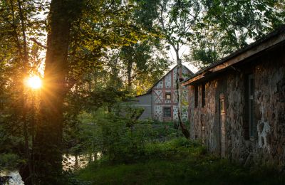 Manoir à vendre Virķēni, Vidzeme, Image 12/23