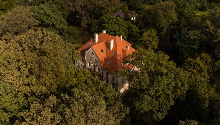 Château à vendre Wilków, Opole,  Pologne