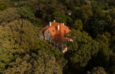 Kasteel Wilków, Opole