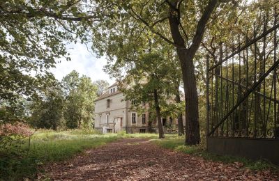Kasteel te koop Wilków, Parkowa 1, Opole, Toegang