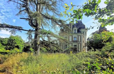 Château à vendre Le Mans, Pays de la Loire, Image 1/15