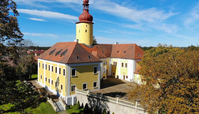  Česko 1