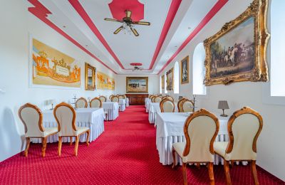 Château à vendre Krupski Młyn, Silésie, Image 13/21