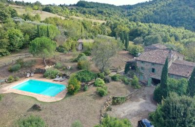 Maison de campagne à vendre 06010 Monte Santa Maria Tiberina, Ombrie, Image 6/50