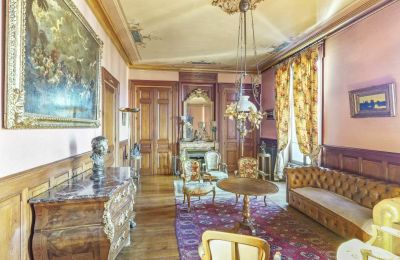 Demeure historique à vendre Vernaison, Auvergne-Rhône-Alpes, Salle de séjour