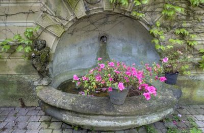 Demeure historique à vendre Vernaison, Auvergne-Rhône-Alpes, Détails
