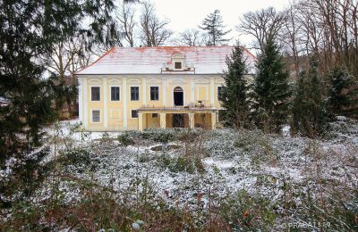 Château à vendre Plzeňský kraj, okres Klatovy, Klatovy, Plzeňský kraj, Parc