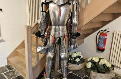 Kasteel te koop Astenet, Wallonie, unser Ritter " Thor"