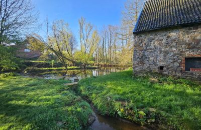Kasteel te koop Astenet, Wallonie, Weiher mit Insel ( ideal für Hochzeitzermonien)