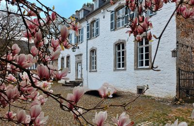 Kasteel te koop Astenet, Wallonie, Herenhuis/ Landhuis