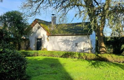 Kasteel te koop Astenet, Wallonie, Gästehaus "lonley garden "