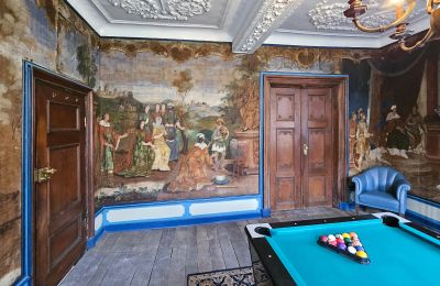 Kasteel te koop Astenet, Wallonie, Billardtimmee /Tapetenzimmer "Salomon " 