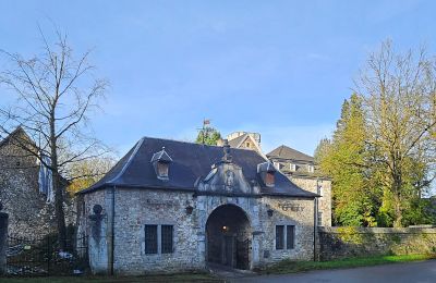 Kasteel te koop Astenet, Wallonie, Foto 2/27
