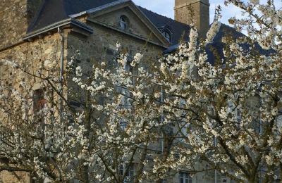 Manoir à vendre Pléneuf-Val-André, Le Tertre Rogon, Bretagne, Image 23/26