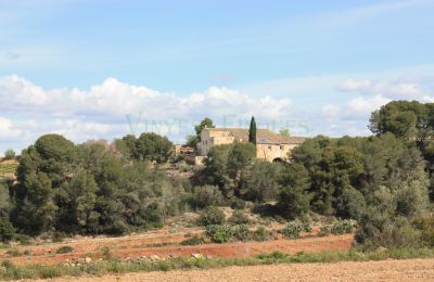 Landhuis te koop Vila-rodona, Catalonië, Foto 4/37