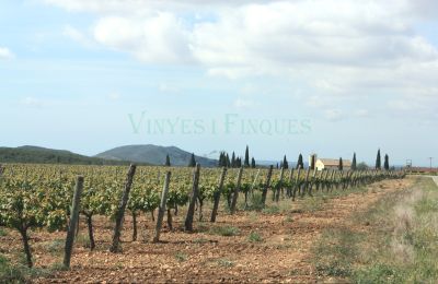 Landhuis te koop Vila-rodona, Catalonië, Foto 8/37