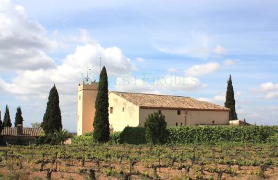 Landhuis te koop Vila-rodona, Catalonië, Foto 3/37