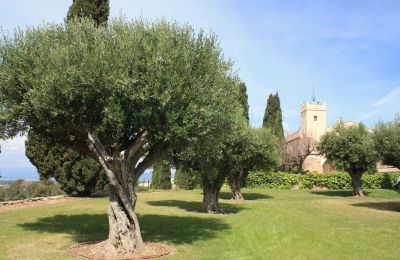 Landhuis te koop Vila-rodona, Catalonië, Foto 2/37