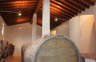Landhuis te koop Vila-rodona, Catalonië, Foto 15/37