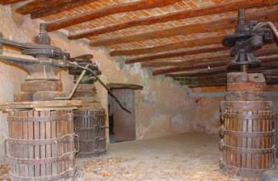 Landhuis te koop Vila-rodona, Catalonië, Foto 17/37