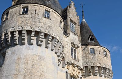 Kasteel te koop Chartres, Centre-Val de Loire, Details