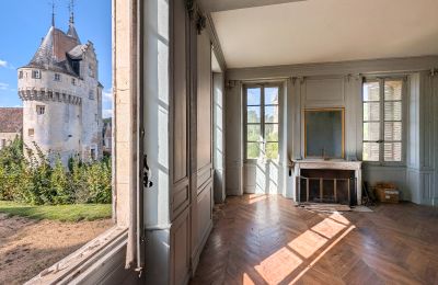 Kasteel te koop Chartres, Centre-Val de Loire, Foto 7/10
