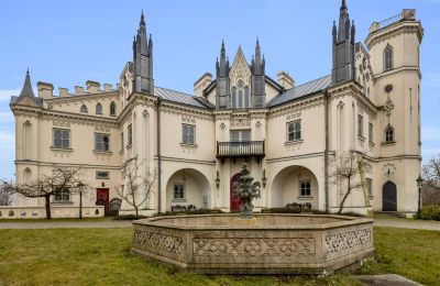 Biens historiques, Manoir néogothique de Patrykozy - un monument exceptionnel en Mazovie
