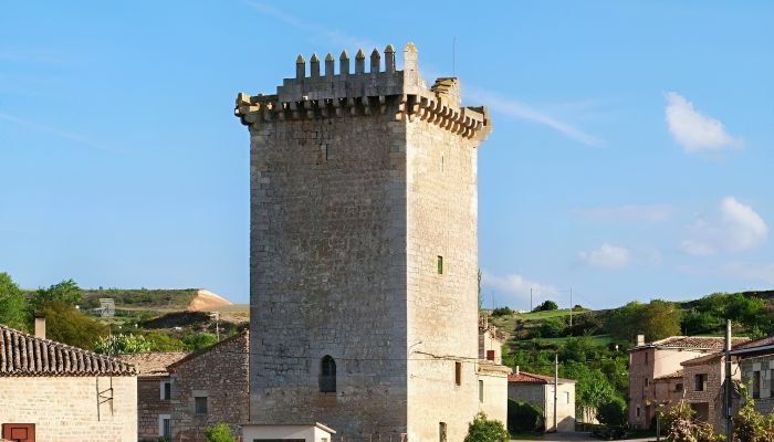 Historisch vastgoed te koop Villadiego, Castilla y León,  Spanje