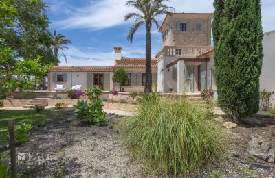 Landelijk pand te koop Cas Concos des Cavaller, Balearen, Überdachte Terrasse