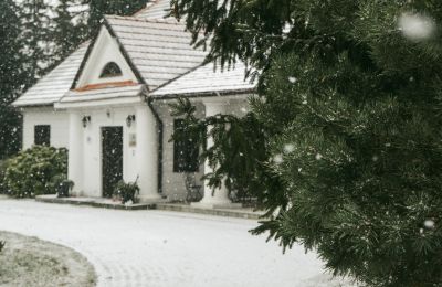 Manoir te koop Mazovie, Foto 6/14