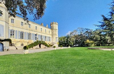 Landhuis te koop Saint-Sulpice-la-Pointe, Occitanie, Achteraanzicht