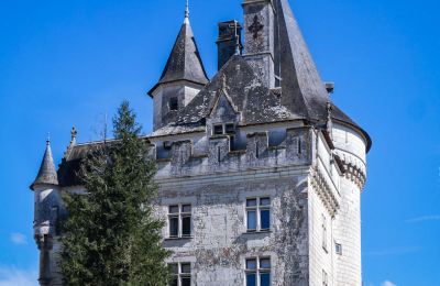 Château à vendre Loches, Centre-Val de Loire, Tour