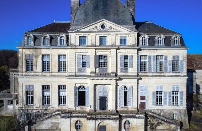 Château à vendre Loches, Centre-Val de Loire, Vue frontale